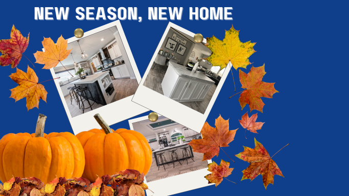 Palm Harbor Homes Picture Gallery