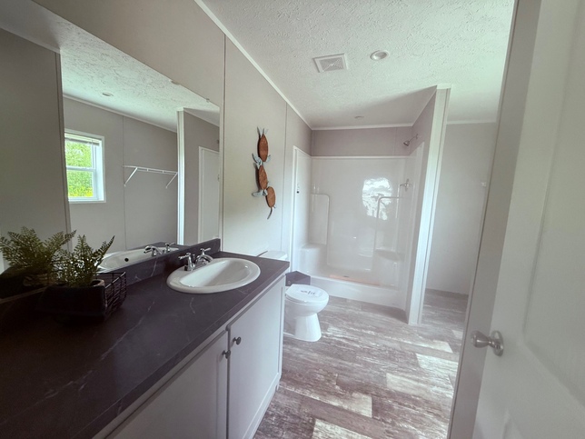Primary Bath with walk-in shower, vanity and closet.