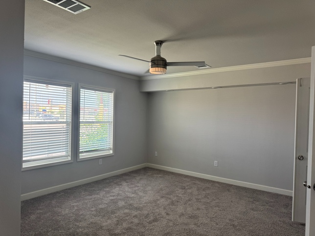 A BEAUTIFUL MAGNOLIA 6356 Gold Medal Series Houston TX