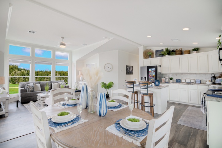 Swan L52EP8 Smart Cottage Series Corpus Christi TX
