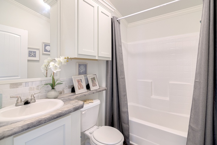 Swan L52EP8 Smart Cottage Series Corpus Christi TX