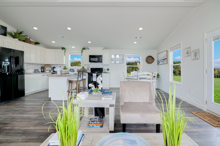 Swan L52EP8 Smart Cottage Series Houston TX