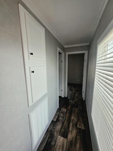 The Fancy 16763B Tifton GA